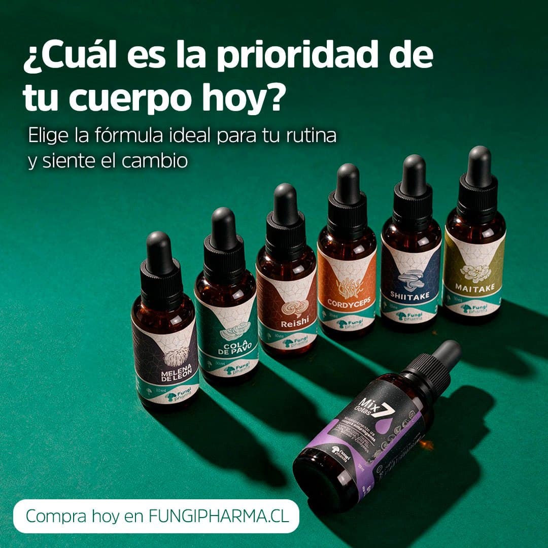 Carrusel educativo: elegir la fórmula según la necesidad.